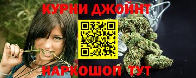 крисы Кунгур
