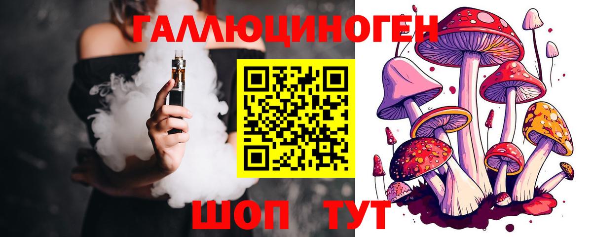 Заволжье  Псилоцибиновые грибы MAGIC MUSHROOMS  Вход с VPN 